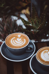 Two cups of cappuccino