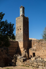 Fototapeta premium View on the storks in the ruins of the Chellah or Shalla, a medieval fortified Muslim necropolis located in the metro area of Rabat, Morocco