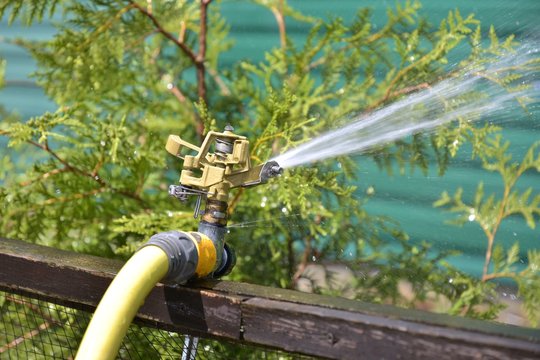 Automatic sprinkler with yellow rubber hose spraying cold water on evergreen bushes. Selective focus. Hose pipe watering the plants. Watering garden plants with an automatic sprinkler. water tap 