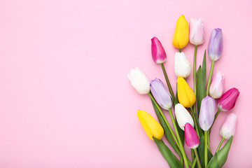 Bouquet of tulip flowers on pink background