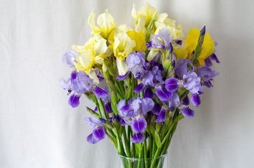 Bright bouquet of delicate yellow and blue irises © irinaso