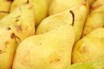 A large group of yellow pears close-up