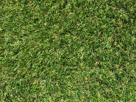 Synthetic grass field