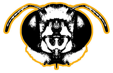 bee