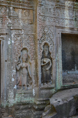 A view of Ta Phrom temple in Siem Reap, Cambodia