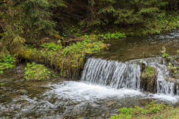 Cascades of pure mountain river among the stones