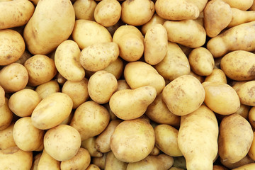 Fototapeta Raw potatoes closeup group obraz