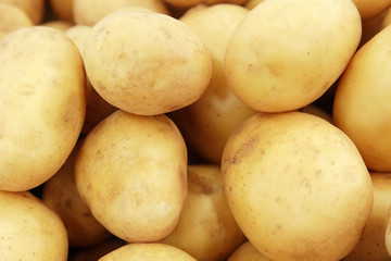 Raw potatoes closeup group