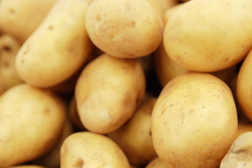 Raw potatoes closeup group