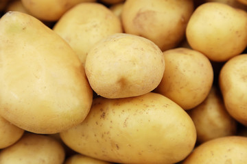Raw potatoes closeup group