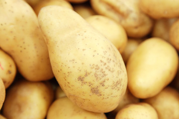 Raw potatoes closeup group