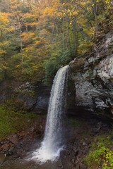 waterfall in forest