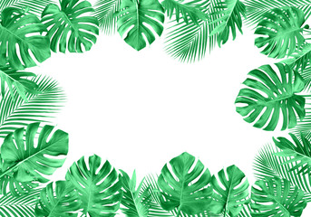 Tropical leaves set with white copy space background