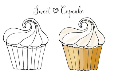 Vector isolated cake or cupcake, dessert coloring