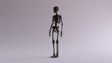 Black Iron Skeletal System Anatomical Model 3 Quarter Front Left View 3d illustration 3d render