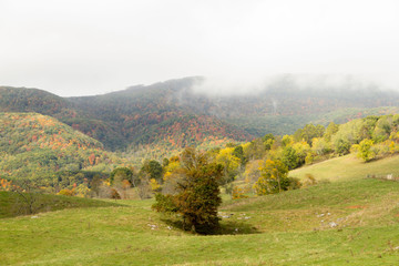 autumn landscape in mountains