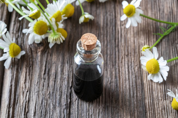 A bottle of dark blue chamomile essential oil and flowers