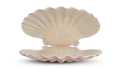 Empty sea shell. For your banner, poster, logo. Empty, blank, sea shell isolated on white background, 3d illustration