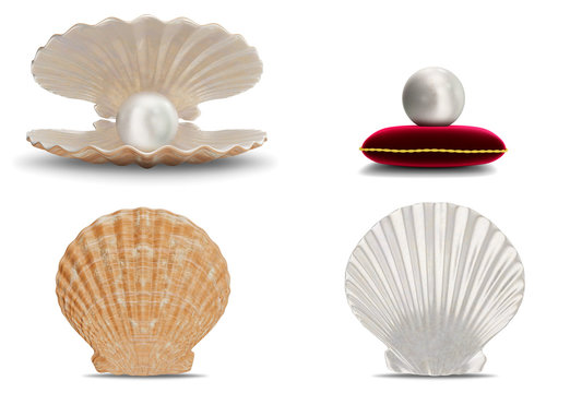 Set of sea shell with pearl inside. Collection gems, women's jewelry, nacre beads. Pearl on red velvet pillow. Set sea shells front view, shiny sea pearls isolated on white background.,3d illustration