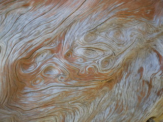 Wood texture