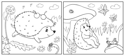 Coloring Book. Illustration of hedgehog and Insect for Children.