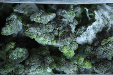 Frozen broccoli in the freezer