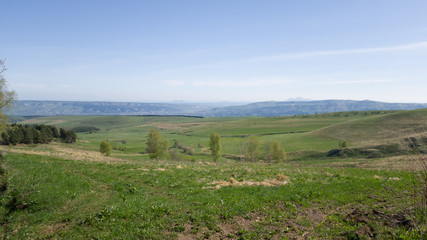 Fototapeta na wymiar Field, meadow, trees and mountains in the distance. Walk in the country in Russia