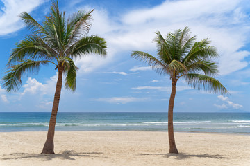 Fototapeta na wymiar Two palm trees on tropical paradise beach
