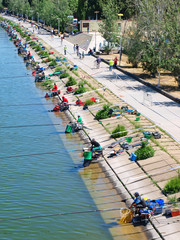 Fototapeta premium Campeonato de pesca en la barqueta, Sevilla / Fishing Championship at Barqueta, Seville