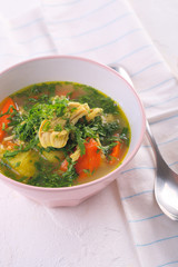 Tasty soup with chicken and vegetables. closeup