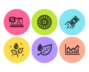 Online loan, Plants watering and Leaf dew icons simple set. Fast payment, Fan engine and Infochart signs. Discount percent, Water drop. Business set. Flat online loan icon. Circle button. Vector