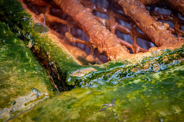 Source d'eau chaude Loz&egrave;re