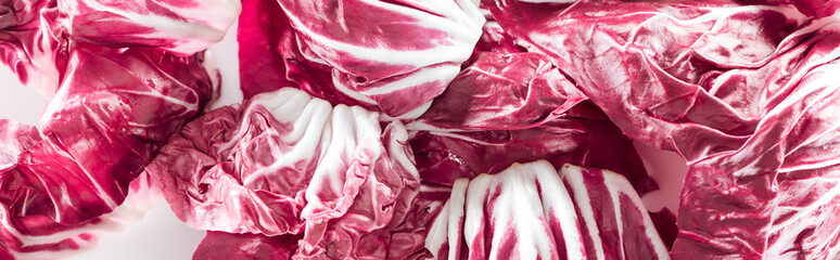 panoramic shot of fresh red cabbage leaves