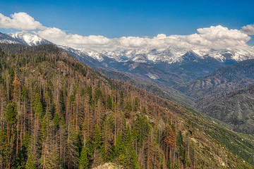 Yosemite National Park