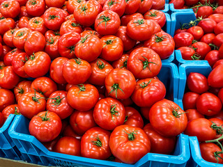 Saftige frische rote Tomaten zum Anbeißen lecker
