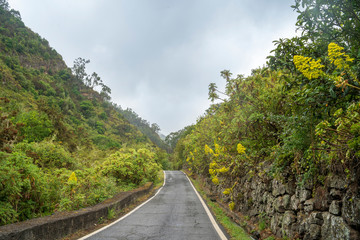 Fototapeta na wymiar one lane road between the hills of Gran Canarias