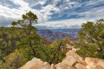 Grand Canyon View