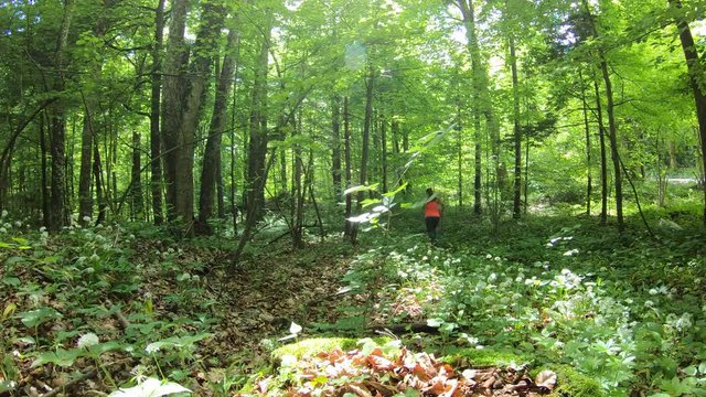 Woman running in the sunny forest