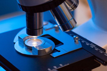microscope detail analyzing semen samples - obrazy, fototapety, plakaty