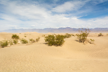 Mesquite Flat Sand Dunes in Death Valley National Park. California, USA