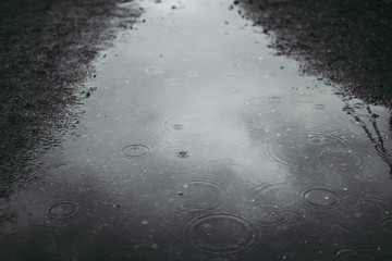 Tiny raindrops on a transparent water of a puddle and Icelandic black sand. Cold rainy day in Thingvellir National Park in Iceland.