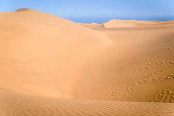 The sands of Maspalomas. Beautyful dunes in the south of Gran Canaria