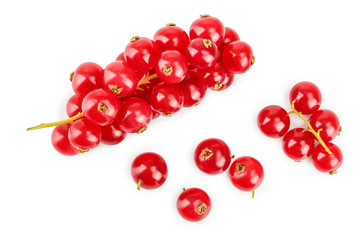 Red currant berry isolated on white background. Top view. Flat lay pattern
