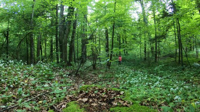 Overweight woman running through the lush forest