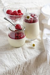 Creamy panna cotta with fresh raspberry