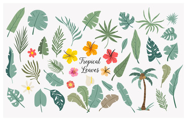 Vector set of tropical leaves. Palm, monstera, banana leaf, hibiscus, plumeria flowers.