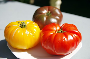 tomates anciennes