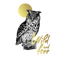 Forest bird owl and the inscription 