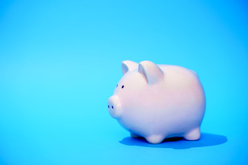 Photo of pig piggy bank on empty blue background