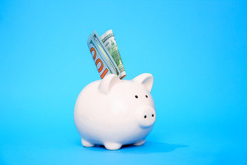 Photo on side of pig piggy bank with banknote